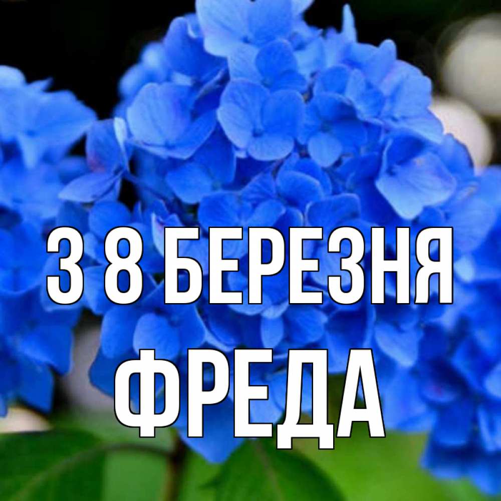 Открытка на каждый день з підписом, Фреда З 8 БЕРЕЗНЯ синие цветы Прикольна листівка з побажанням онлайн скачати безкоштовно 