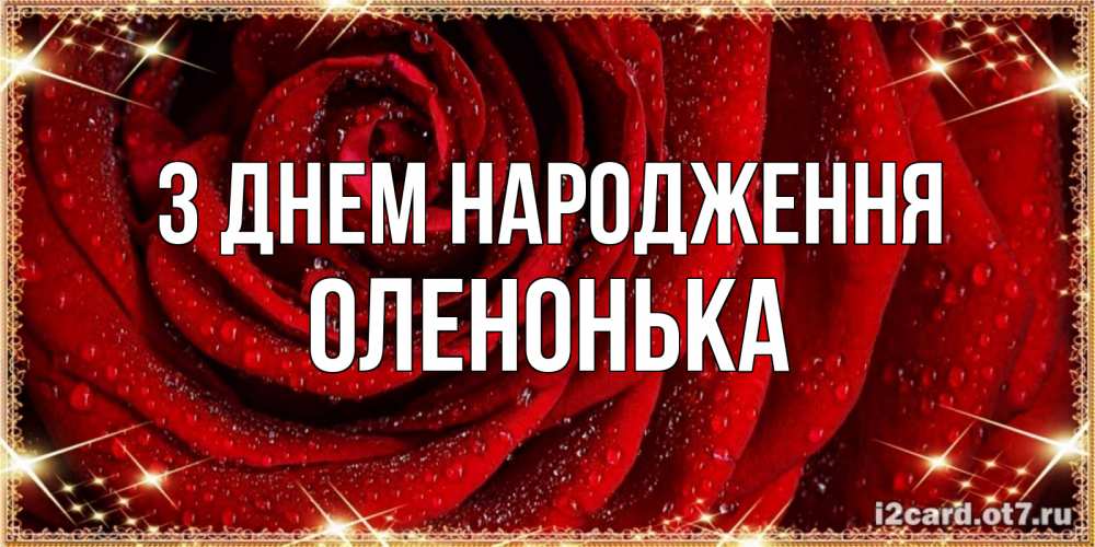 Открытка на каждый день з підписом, Оленонька З Днем народження роса на розе блестящая в лучах солнца Прикольна листівка з побажанням онлайн скачати безкоштовно 
