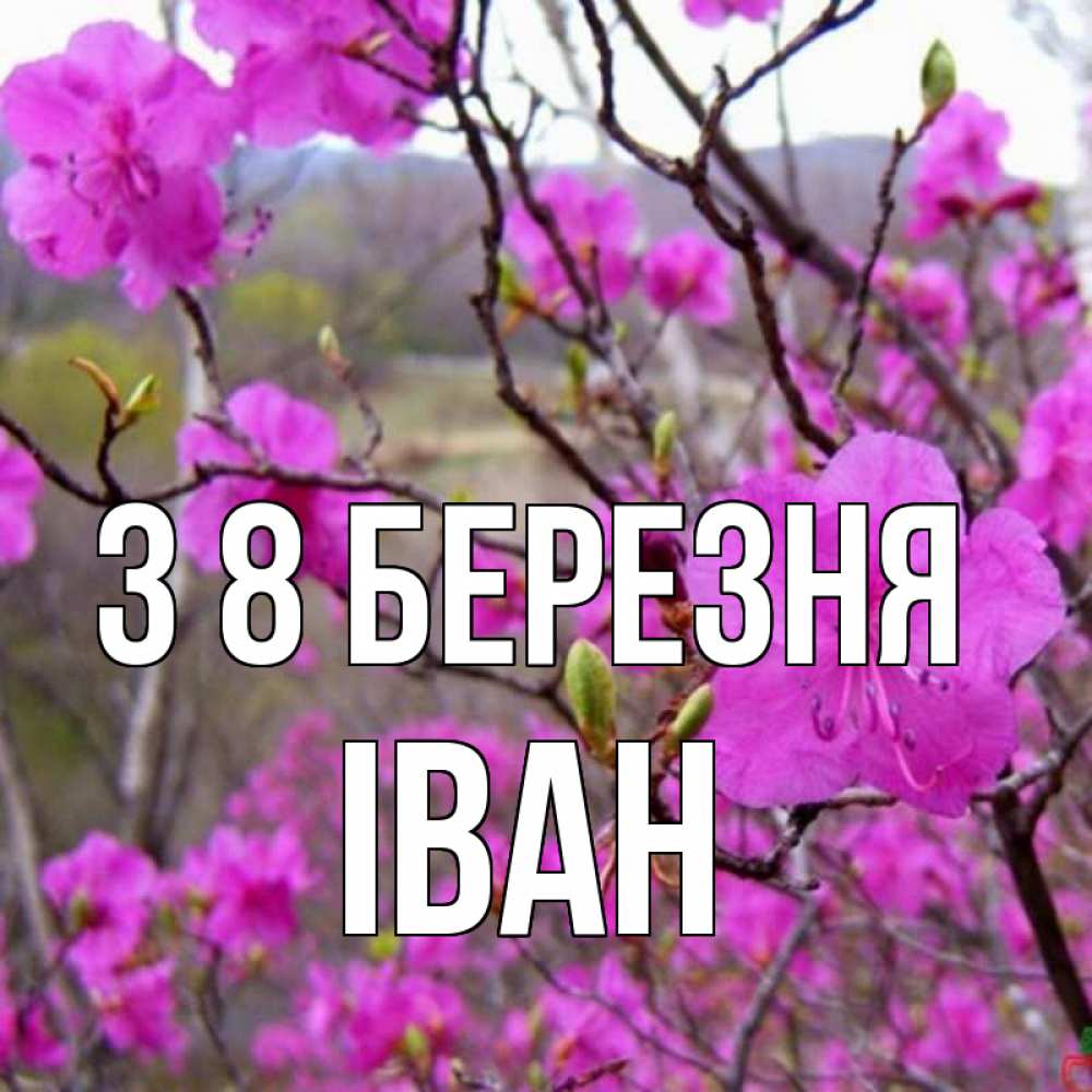 Открытка на каждый день з підписом, Іван З 8 БЕРЕЗНЯ международный женский день Прикольна листівка з побажанням онлайн скачати безкоштовно 