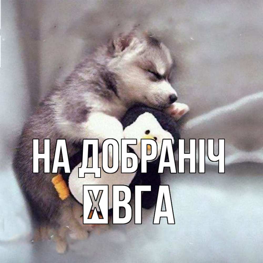Открытка на каждый день з підписом, Ївга На добраніч обнимашки щенка и пингвина Прикольна листівка з побажанням онлайн скачати безкоштовно 