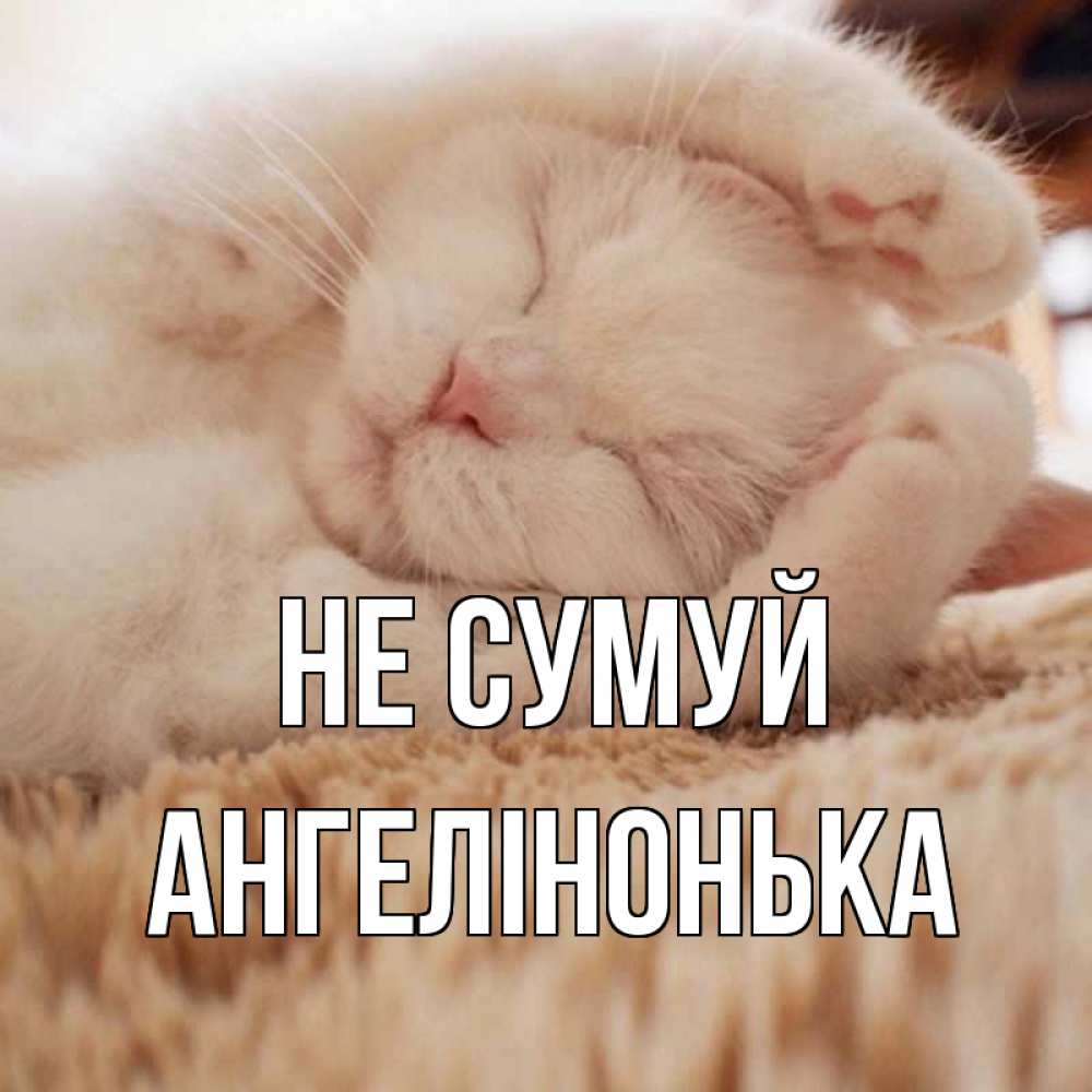 Открытка на каждый день з підписом, Ангелінонька Не сумуй белый кот Прикольна листівка з побажанням онлайн скачати безкоштовно 