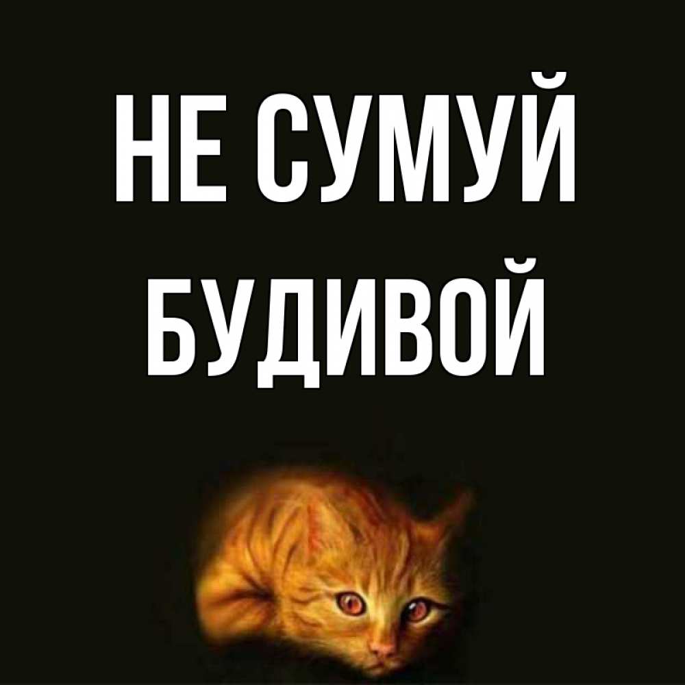 Открытка на каждый день з підписом, Будивой Не сумуй лежащий кот в темноте Прикольна листівка з побажанням онлайн скачати безкоштовно 