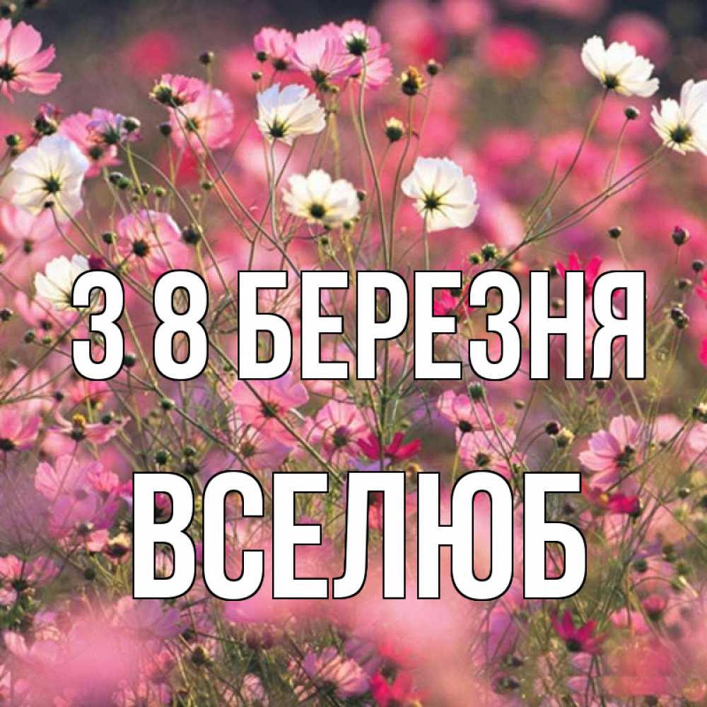 Открытка на каждый день з підписом, Вселюб З 8 БЕРЕЗНЯ красиво 1 Прикольна листівка з побажанням онлайн скачати безкоштовно 