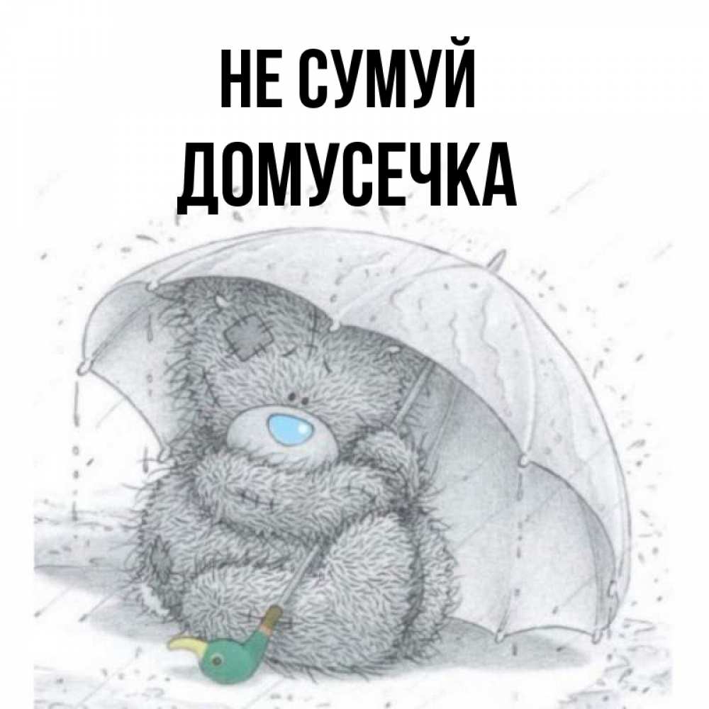 Открытка на каждый день з підписом, Домусечка Не сумуй спасите мишку Тедди Прикольна листівка з побажанням онлайн скачати безкоштовно 