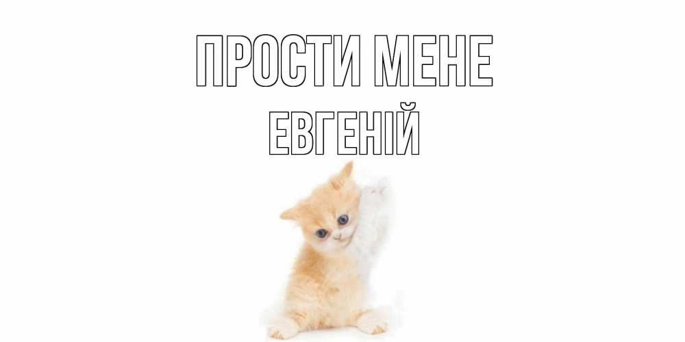 Открытка на каждый день з підписом, Евгеній Прости мене кот Прикольна листівка з побажанням онлайн скачати безкоштовно 
