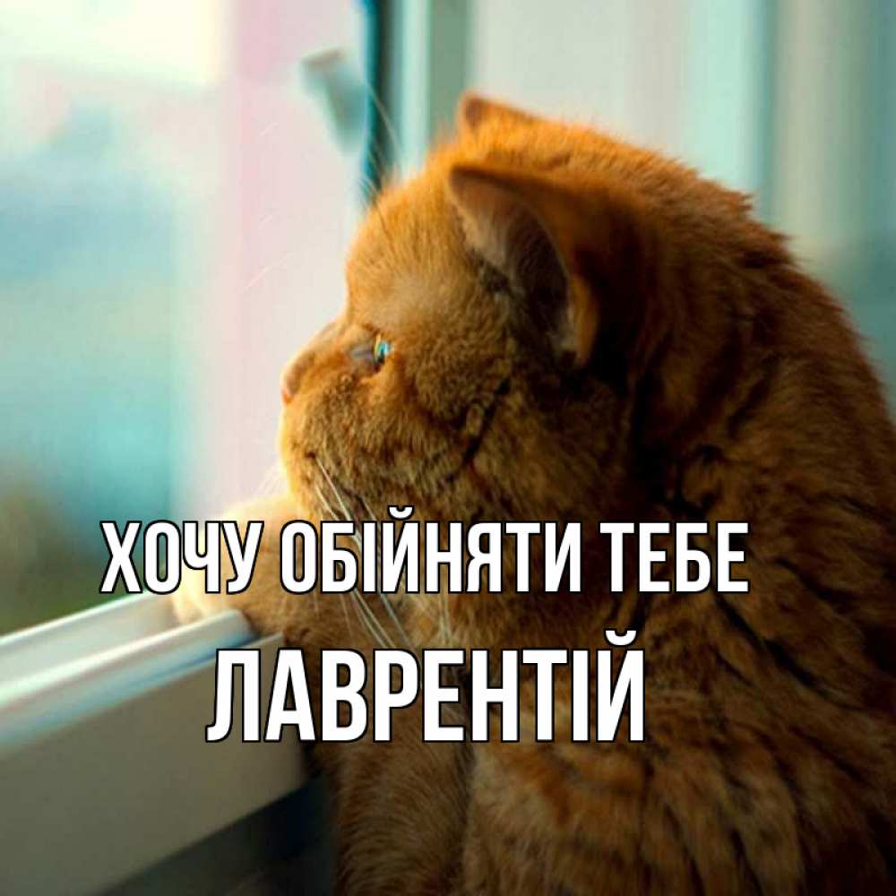 Открытка на каждый день з підписом, Лаврентій Хочу обійняти тебе большой огромный рыжий котяра Прикольна листівка з побажанням онлайн скачати безкоштовно 