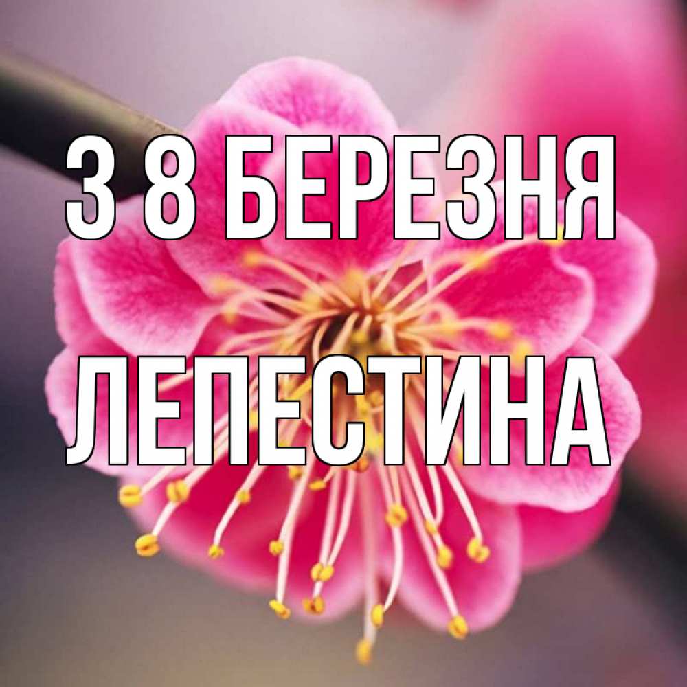 Открытка на каждый день з підписом, Лепестина З 8 БЕРЕЗНЯ цветы Прикольна листівка з побажанням онлайн скачати безкоштовно 