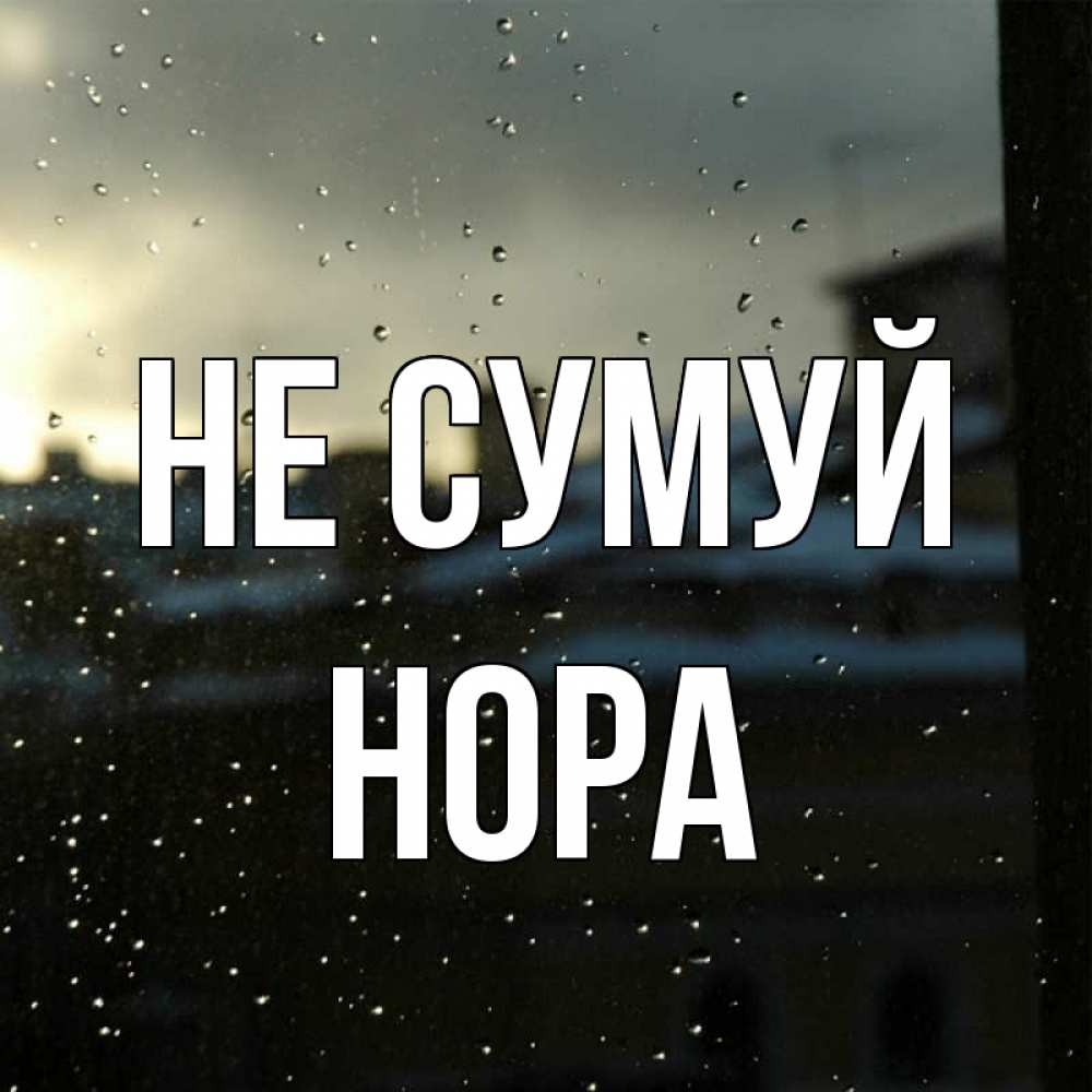 Открытка на каждый день з підписом, Нора Не сумуй вид на крыши Прикольна листівка з побажанням онлайн скачати безкоштовно 