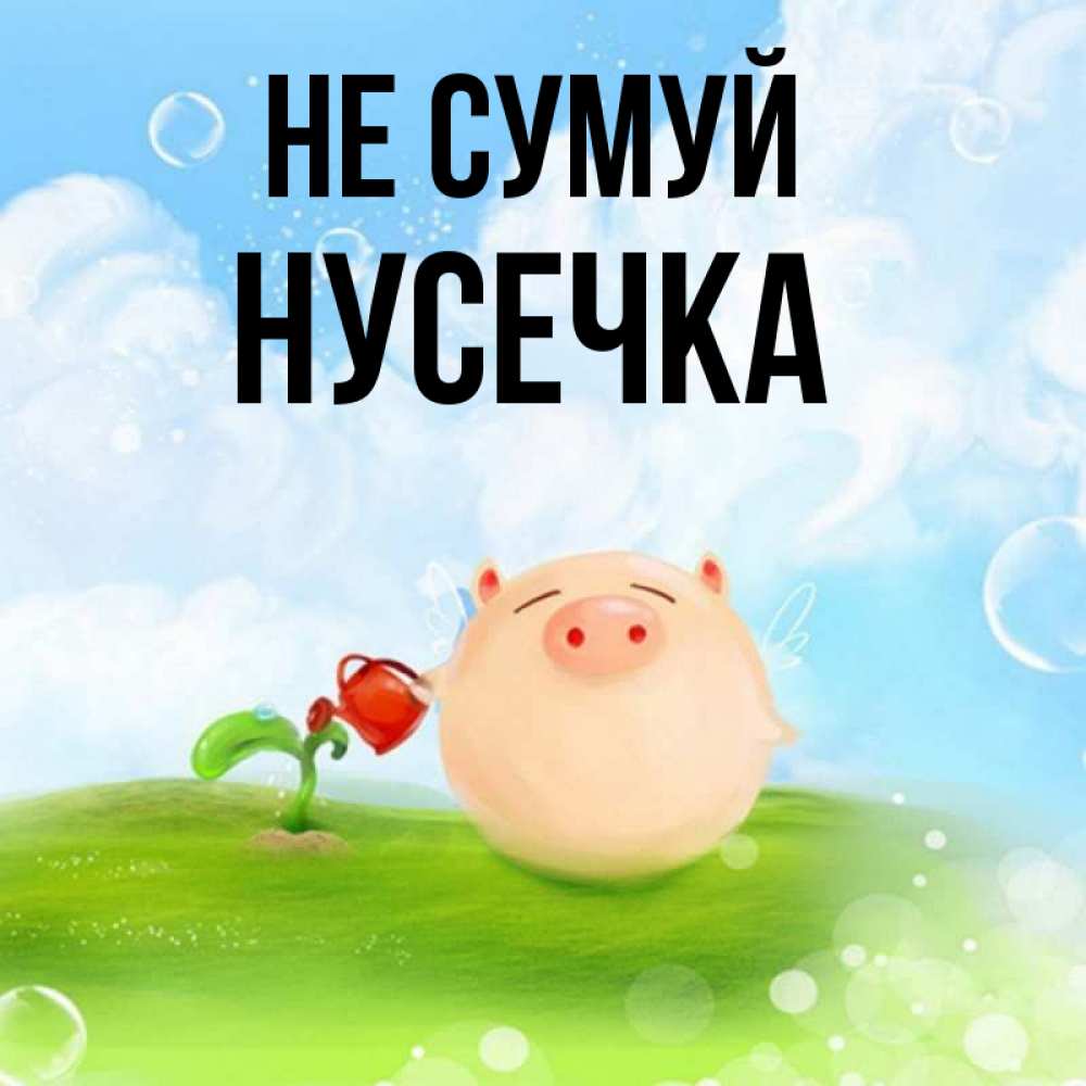 Открытка на каждый день з підписом, Нусечка Не сумуй поливает цветок порося Прикольна листівка з побажанням онлайн скачати безкоштовно 