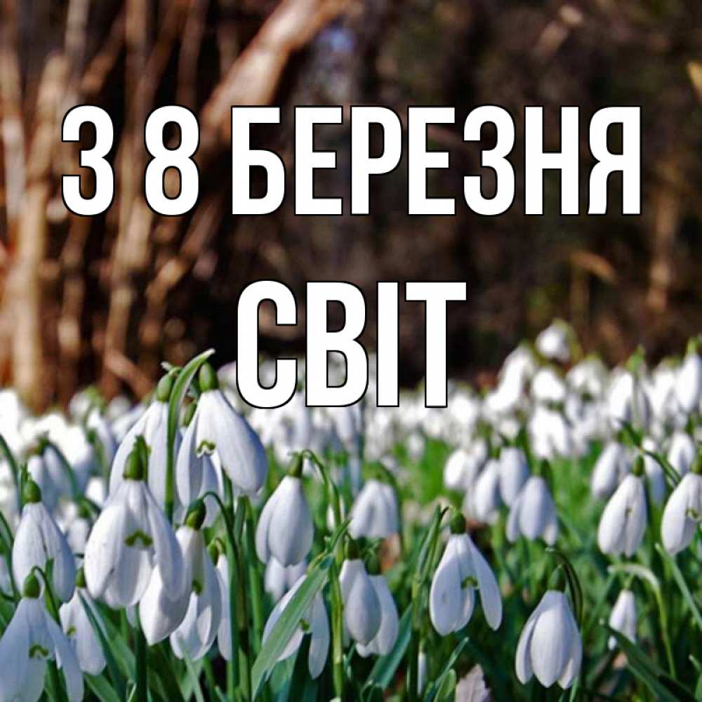 Открытка на каждый день з підписом, Світ З 8 БЕРЕЗНЯ с подснежниками 1 Прикольна листівка з побажанням онлайн скачати безкоштовно 