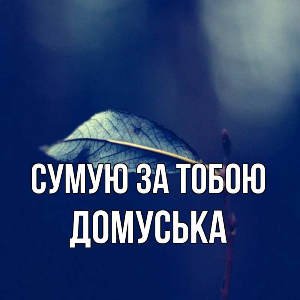 Открытка на каждый день з підписом, Домуська Сумую за тобою одна ветка 1 Прикольна листівка з побажанням онлайн скачати безкоштовно 