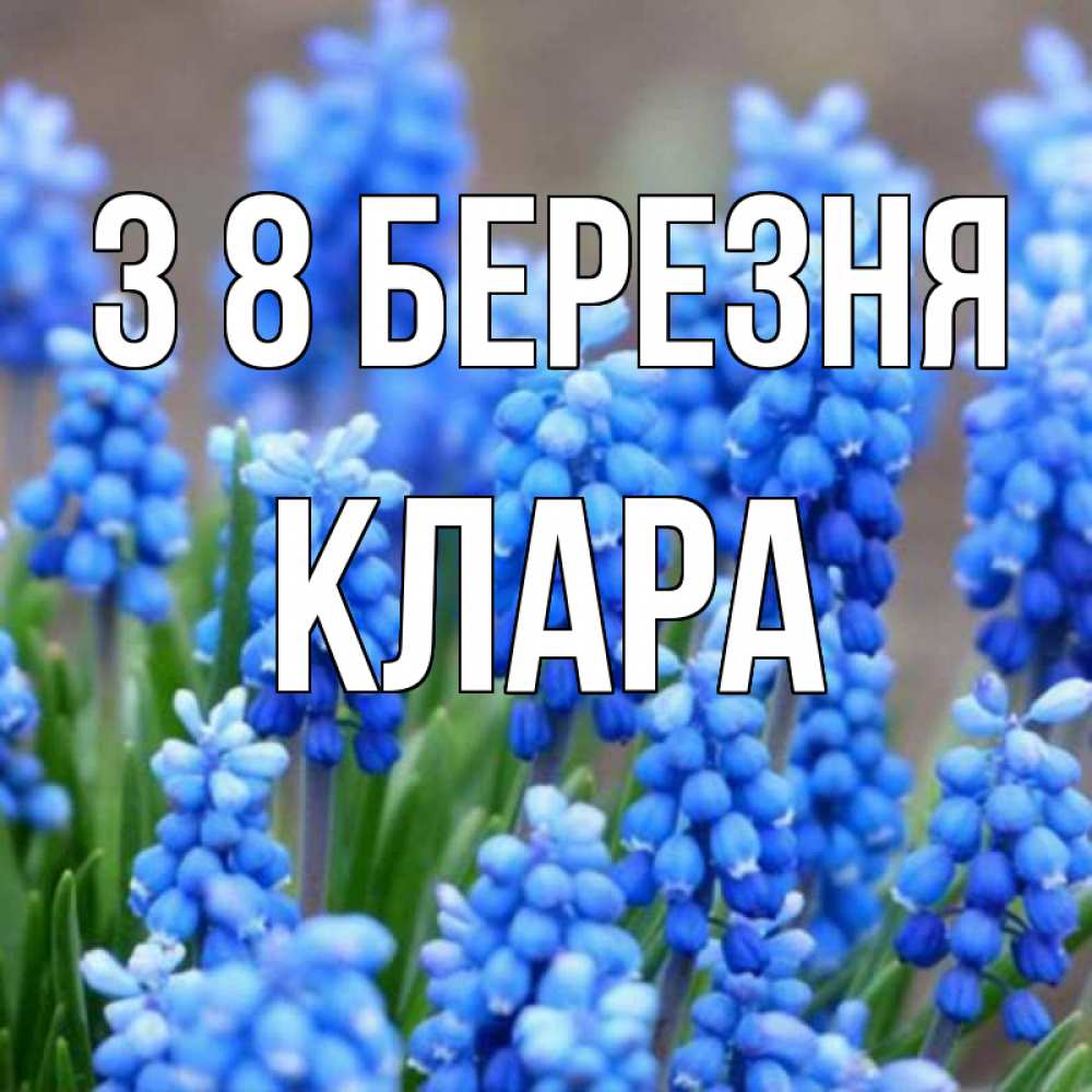 Открытка на каждый день з підписом, Клара З 8 БЕРЕЗНЯ Поздравительная открытка для женщин с цветами на праздничную дату Прикольна листівка з побажанням онлайн скачати безкоштовно 