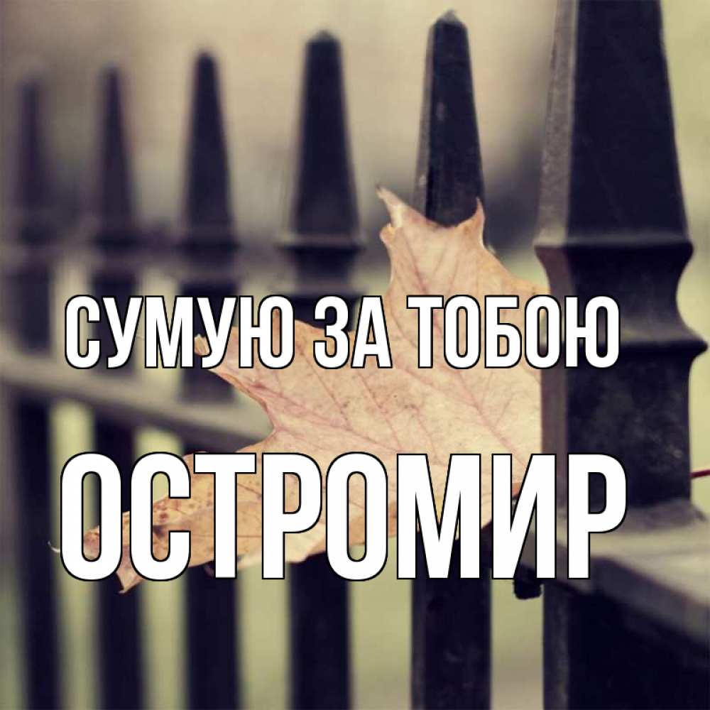 Открытка на каждый день з підписом, Остромир Сумую за тобою очень скучно Прикольна листівка з побажанням онлайн скачати безкоштовно 
