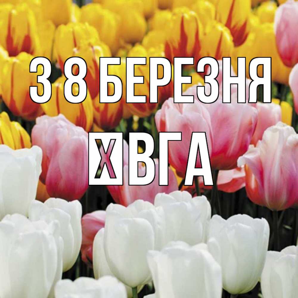 Открытка на каждый день з підписом, Ївга З 8 БЕРЕЗНЯ разноцветные цветы Прикольна листівка з побажанням онлайн скачати безкоштовно 