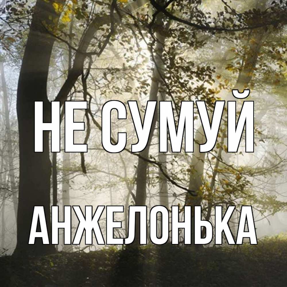 Открытка на каждый день з підписом, Анжелонька Не сумуй лес и свет Прикольна листівка з побажанням онлайн скачати безкоштовно 