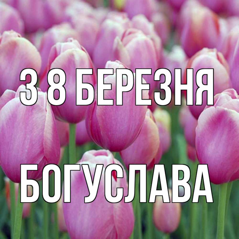 Открытка на каждый день з підписом, Богуслава З 8 БЕРЕЗНЯ на международный женский день 3 Прикольна листівка з побажанням онлайн скачати безкоштовно 