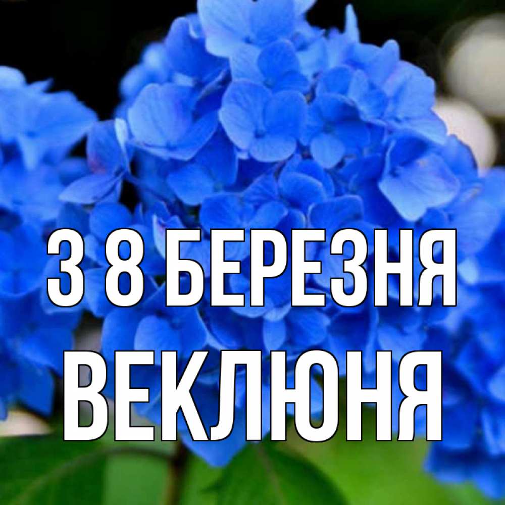 Открытка на каждый день з підписом, Веклюня З 8 БЕРЕЗНЯ синие цветы Прикольна листівка з побажанням онлайн скачати безкоштовно 