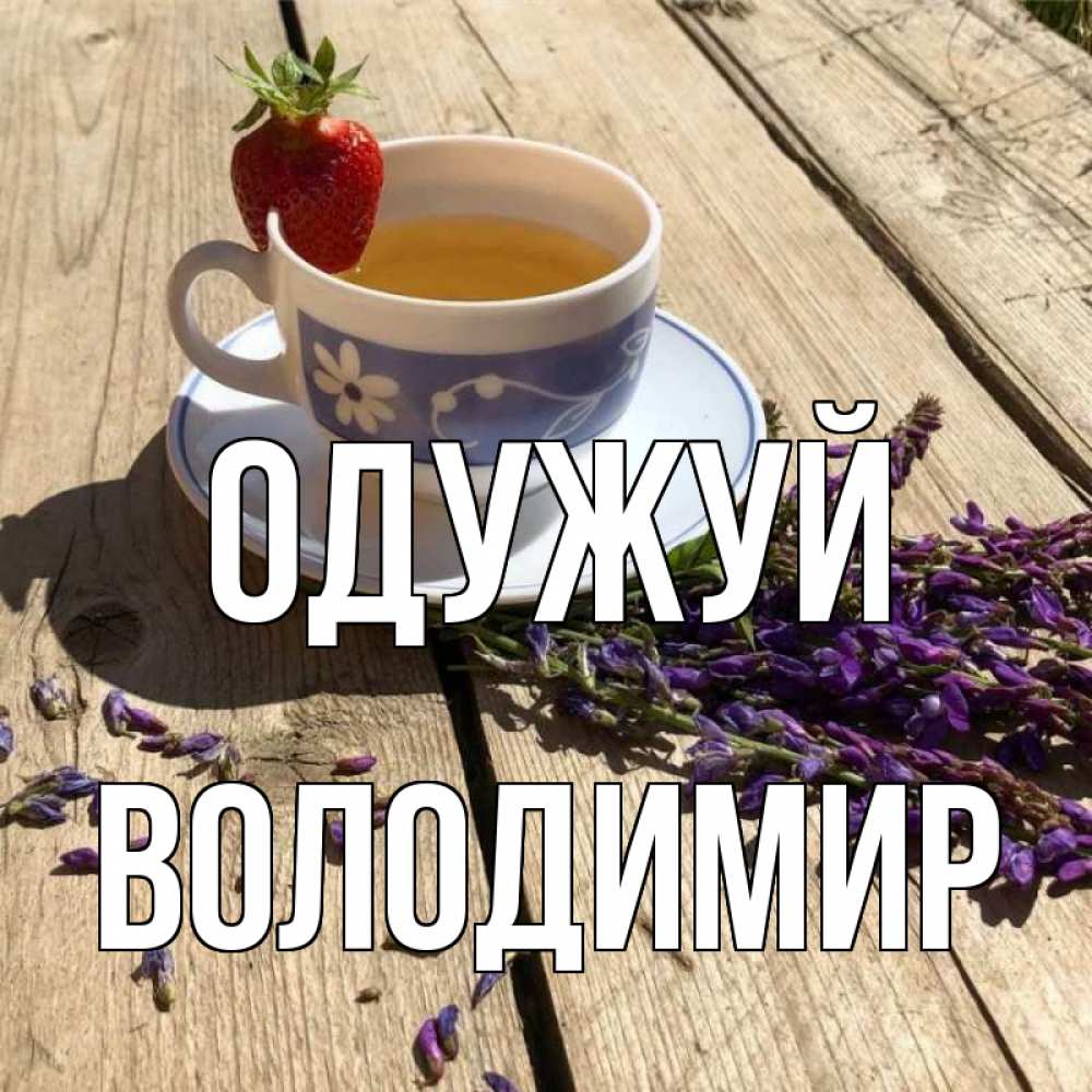 Открытка на каждый день з підписом, Володимир Одужуй чай Прикольна листівка з побажанням онлайн скачати безкоштовно 