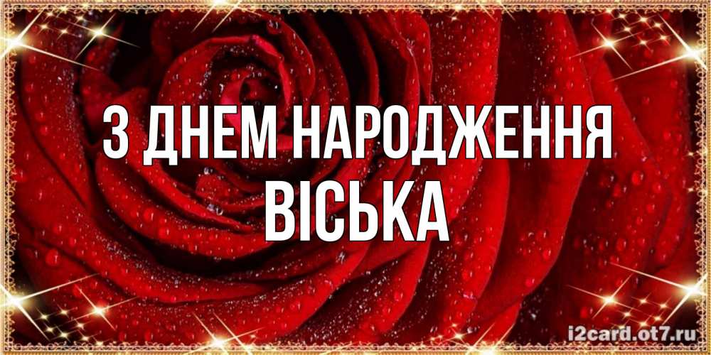 Открытка на каждый день з підписом, Віська З Днем народження роса на розе блестящая в лучах солнца Прикольна листівка з побажанням онлайн скачати безкоштовно 
