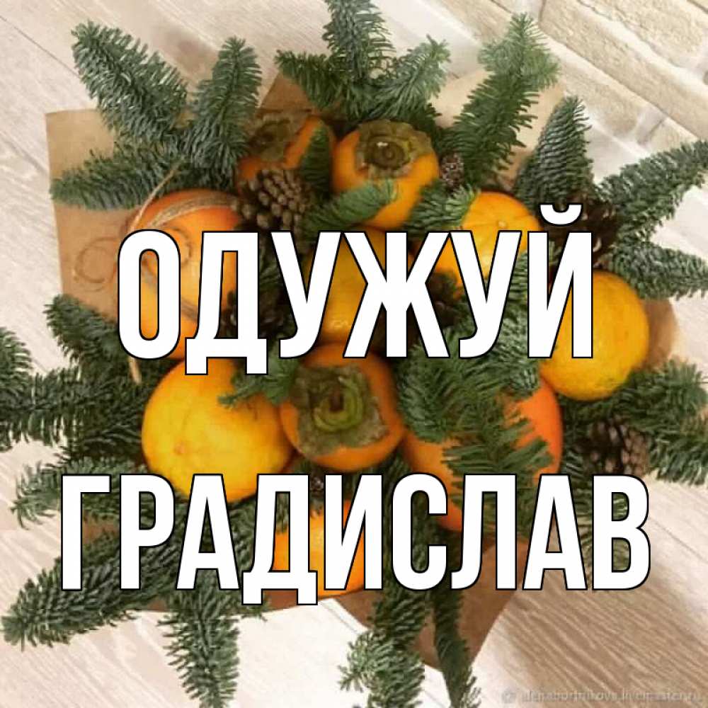 Открытка на каждый день з підписом, Градислав Одужуй апельсины и хурьма Прикольна листівка з побажанням онлайн скачати безкоштовно 