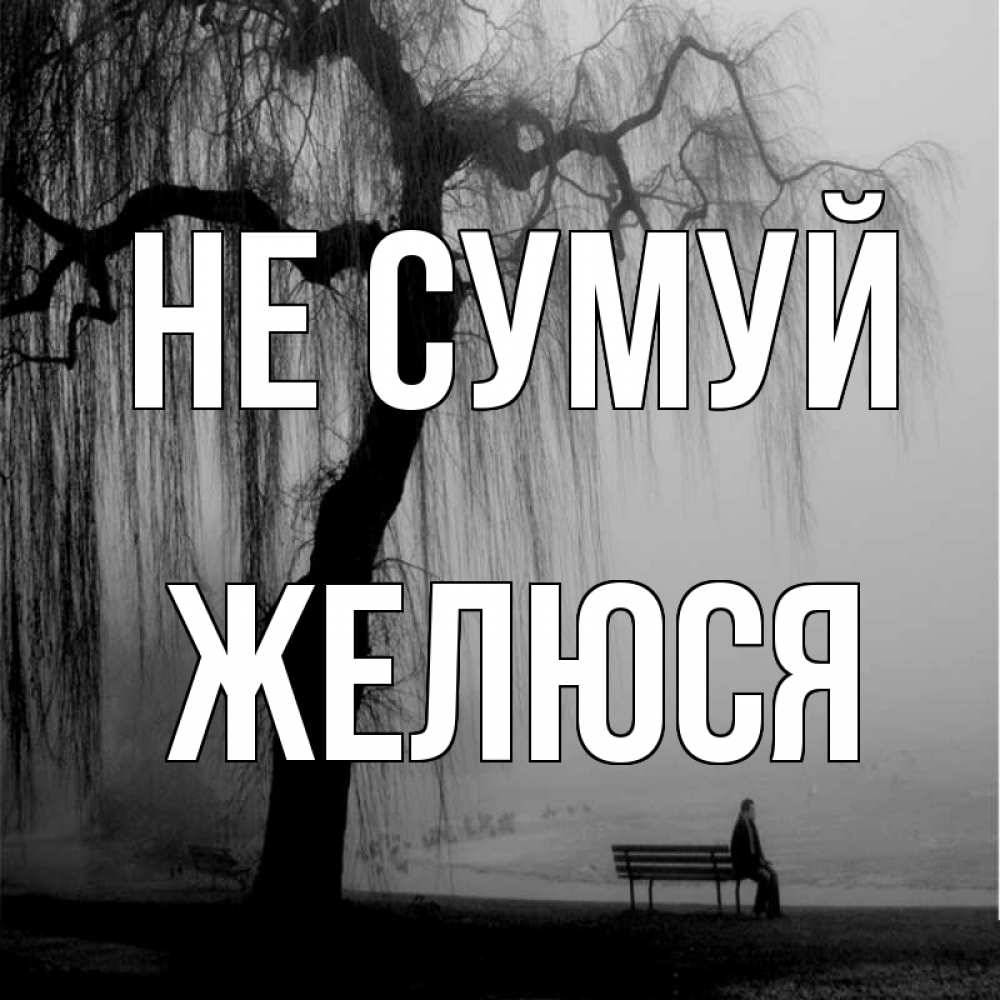 Открытка на каждый день з підписом, Желюся Не сумуй висящие ветки дерева и лавочка под деревом Прикольна листівка з побажанням онлайн скачати безкоштовно 