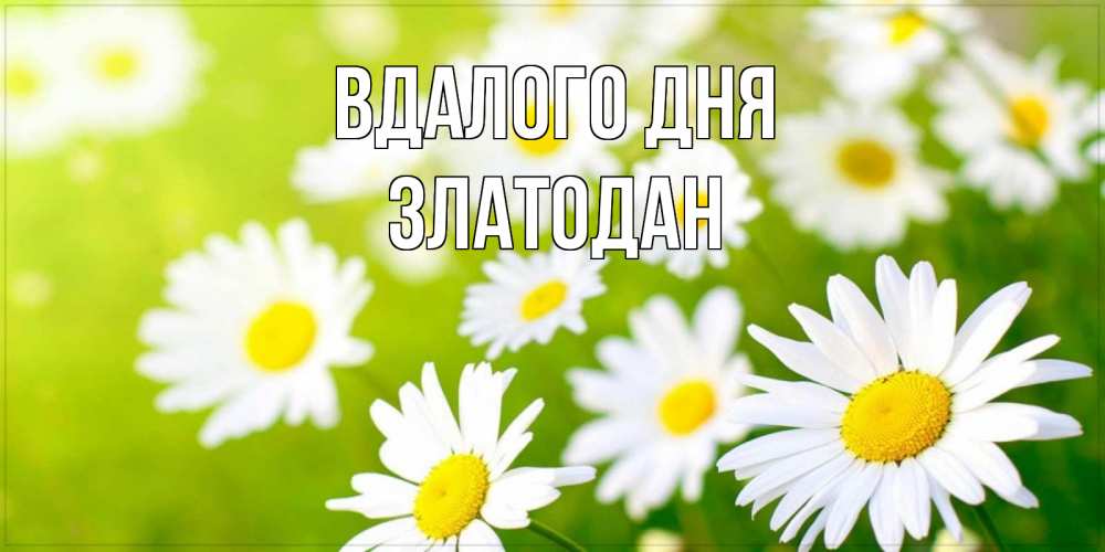 Открытка на каждый день з підписом, Златодан Вдалого дня открытка с ромашками на зеленом фоне Прикольна листівка з побажанням онлайн скачати безкоштовно 