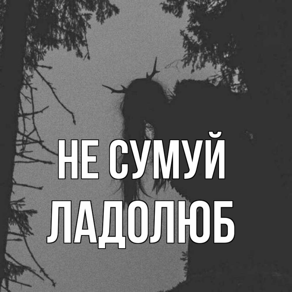 Открытка на каждый день з підписом, Ладолюб Не сумуй чудище лесное Прикольна листівка з побажанням онлайн скачати безкоштовно 