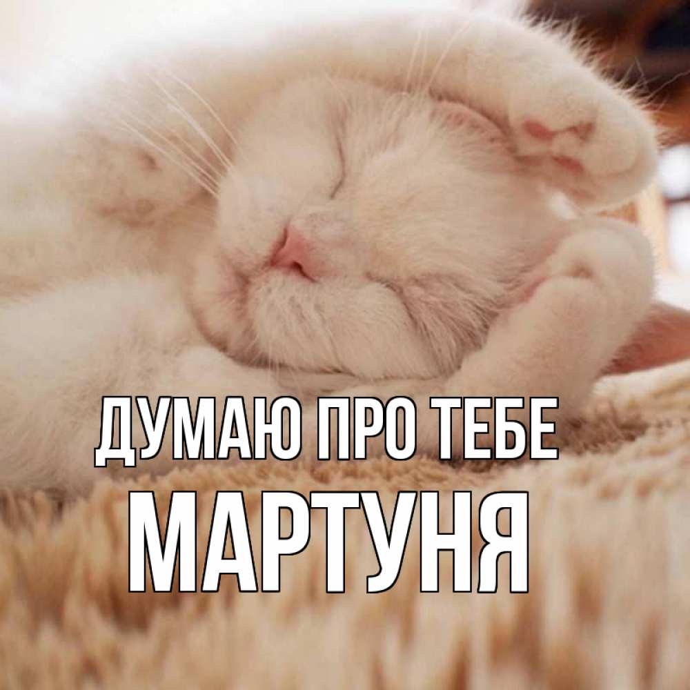Открытка на каждый день з підписом, Мартуня Думаю про тебе для любимой девушки милота Прикольна листівка з побажанням онлайн скачати безкоштовно 