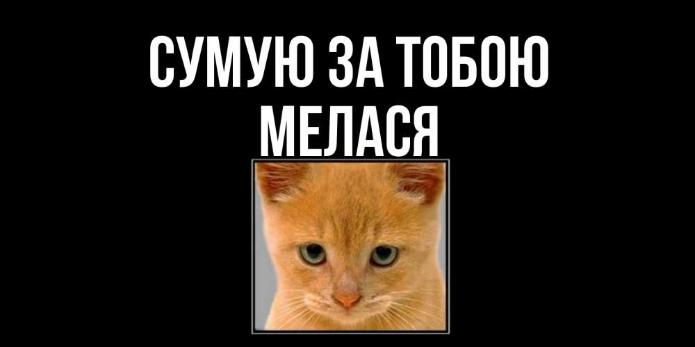 Открытка на каждый день з підписом, Мелася Сумую за тобою открытки рыжий котенок скучает по тебе Прикольна листівка з побажанням онлайн скачати безкоштовно 