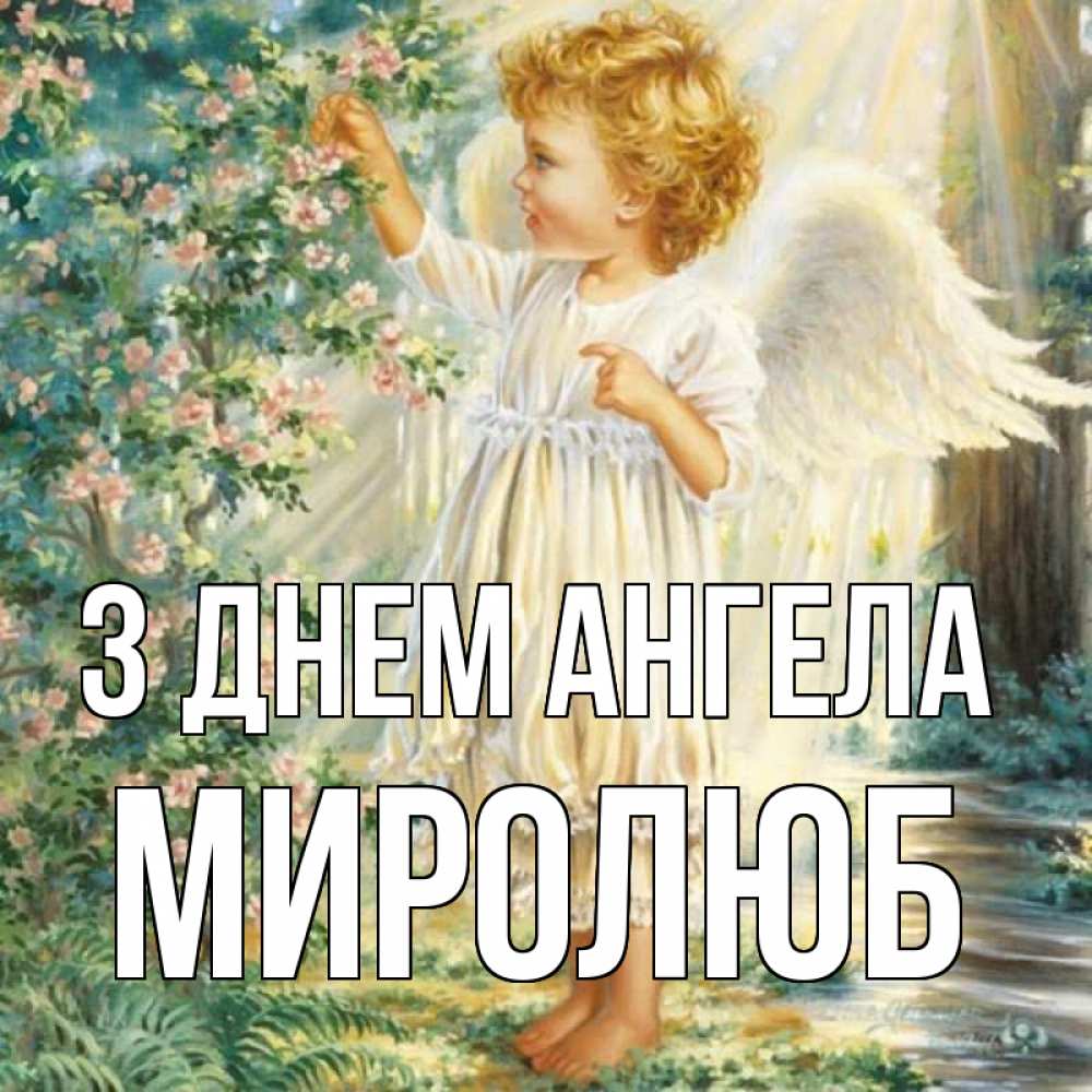 Открытка на каждый день з підписом, Миролюб З Днем ангела собирает цветы Прикольна листівка з побажанням онлайн скачати безкоштовно 