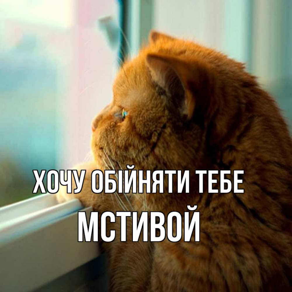 Открытка на каждый день з підписом, Мстивой Хочу обійняти тебе большой огромный рыжий котяра Прикольна листівка з побажанням онлайн скачати безкоштовно 