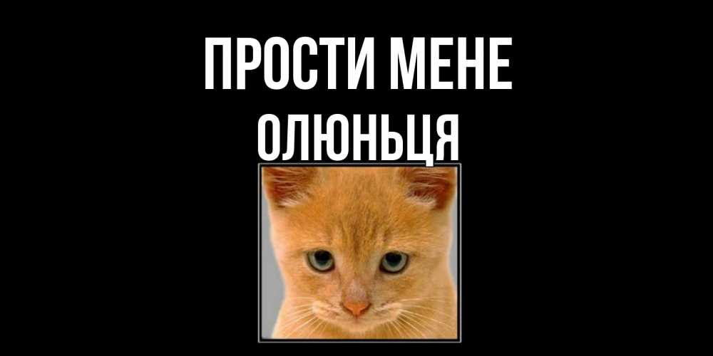 Открытка на каждый день з підписом, Олюньця Прости мене рыжий грустный кот просит прощения Прикольна листівка з побажанням онлайн скачати безкоштовно 