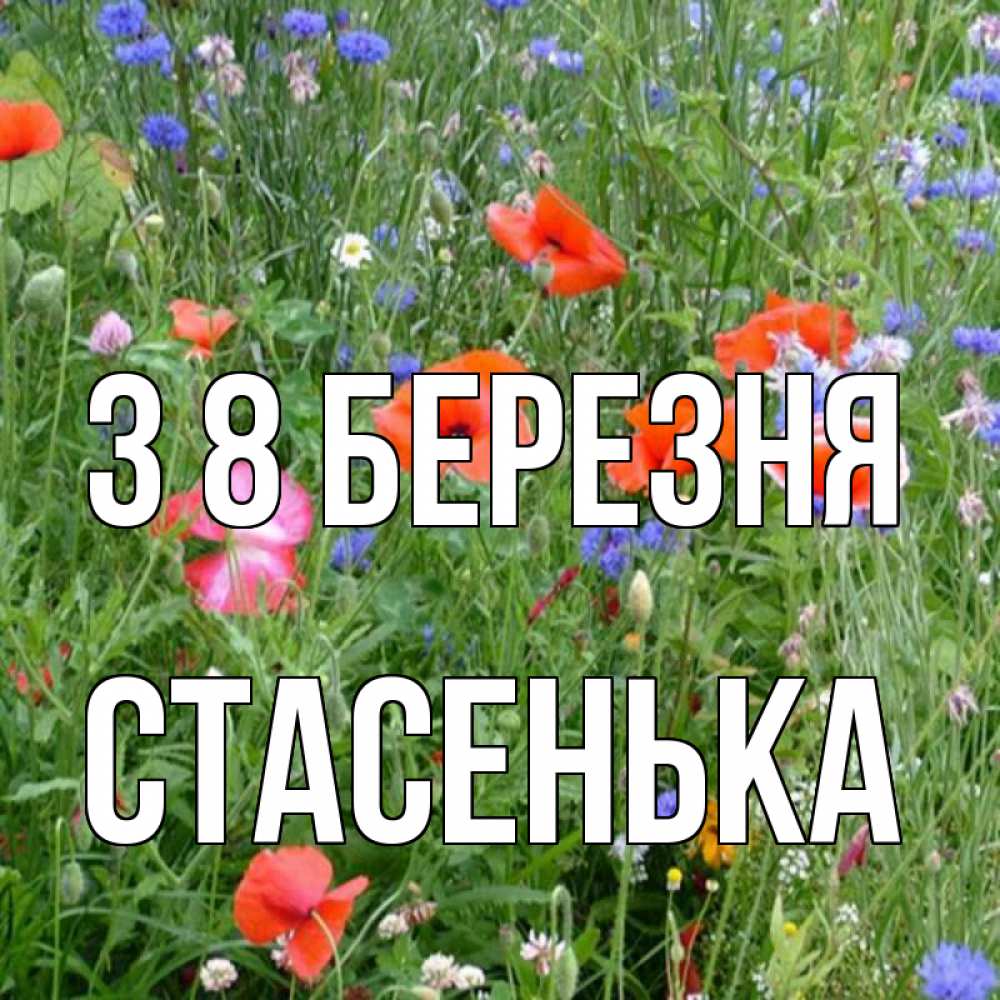 Открытка на каждый день з підписом, Стасенька З 8 БЕРЕЗНЯ международный женский день 4 Прикольна листівка з побажанням онлайн скачати безкоштовно 