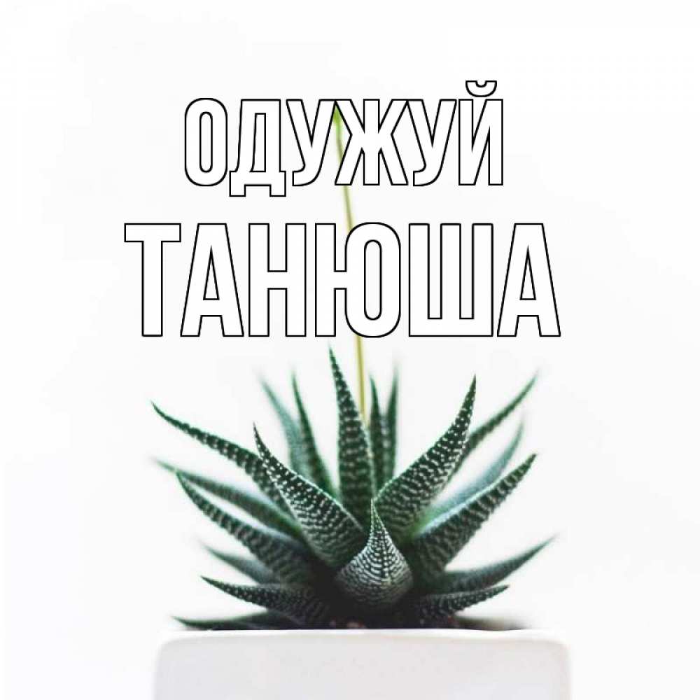 Открытка на каждый день з підписом, Танюша Одужуй короче это непонятная колючка Прикольна листівка з побажанням онлайн скачати безкоштовно 