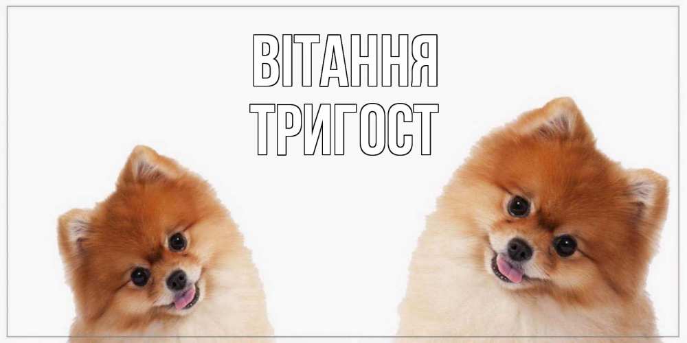 Открытка на каждый день з підписом, Тригост Вітання привет Прикольна листівка з побажанням онлайн скачати безкоштовно 