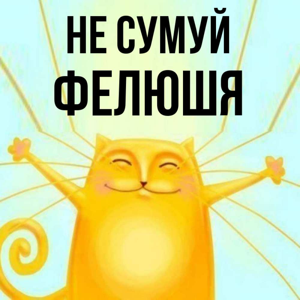Открытка на каждый день з підписом, Фелюшя Не сумуй обнимашки усатые Прикольна листівка з побажанням онлайн скачати безкоштовно 