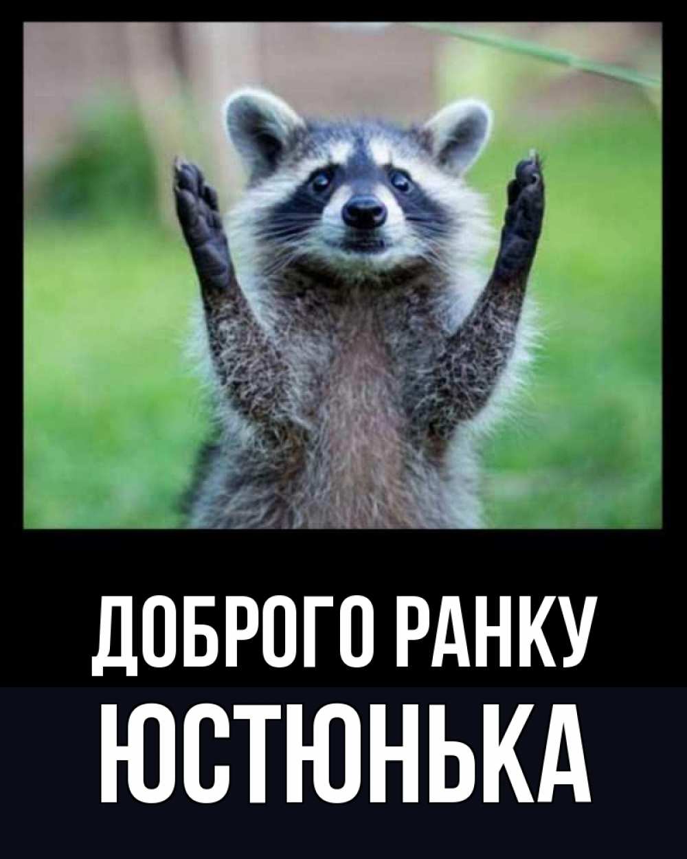 Открытка на каждый день з підписом, Юстюнька Доброго ранку хорошее настроение утречком Прикольна листівка з побажанням онлайн скачати безкоштовно 