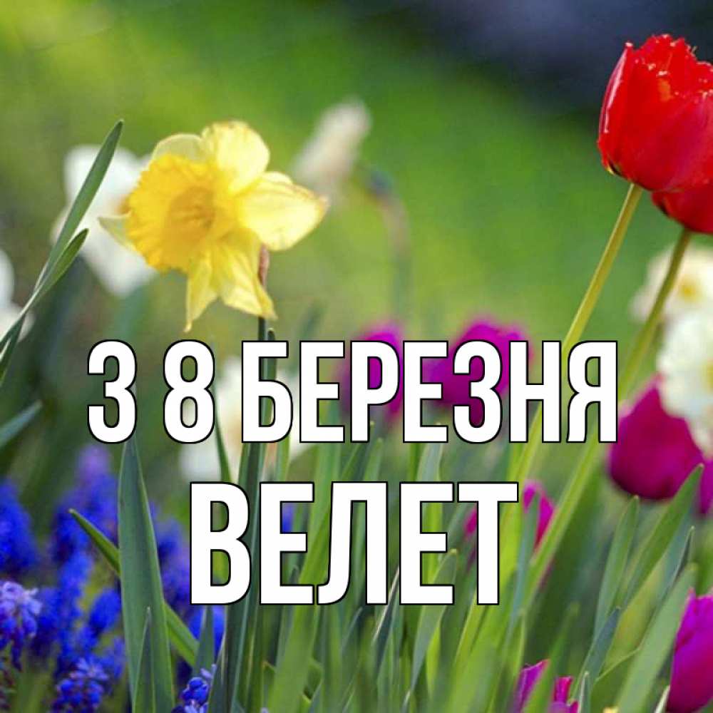 Открытка на каждый день з підписом, Велет З 8 БЕРЕЗНЯ международный женский день 3 Прикольна листівка з побажанням онлайн скачати безкоштовно 