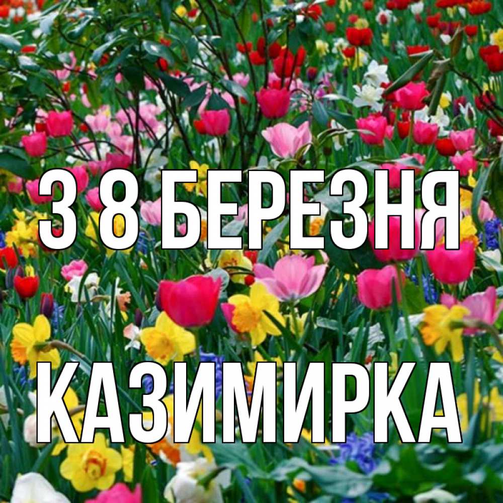 Открытка на каждый день з підписом, Казимирка З 8 БЕРЕЗНЯ с международным женским днем поздравления для женщины Прикольна листівка з побажанням онлайн скачати безкоштовно 