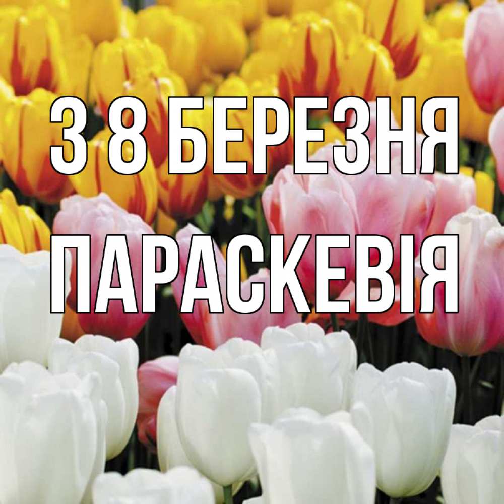 Открытка на каждый день з підписом, Параскевія З 8 БЕРЕЗНЯ разноцветные цветы Прикольна листівка з побажанням онлайн скачати безкоштовно 