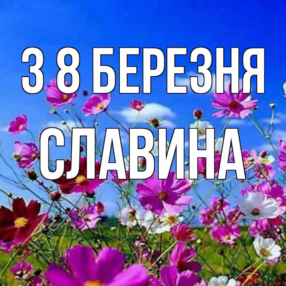Открытка на каждый день з підписом, Славина З 8 БЕРЕЗНЯ цветы Прикольна листівка з побажанням онлайн скачати безкоштовно 
