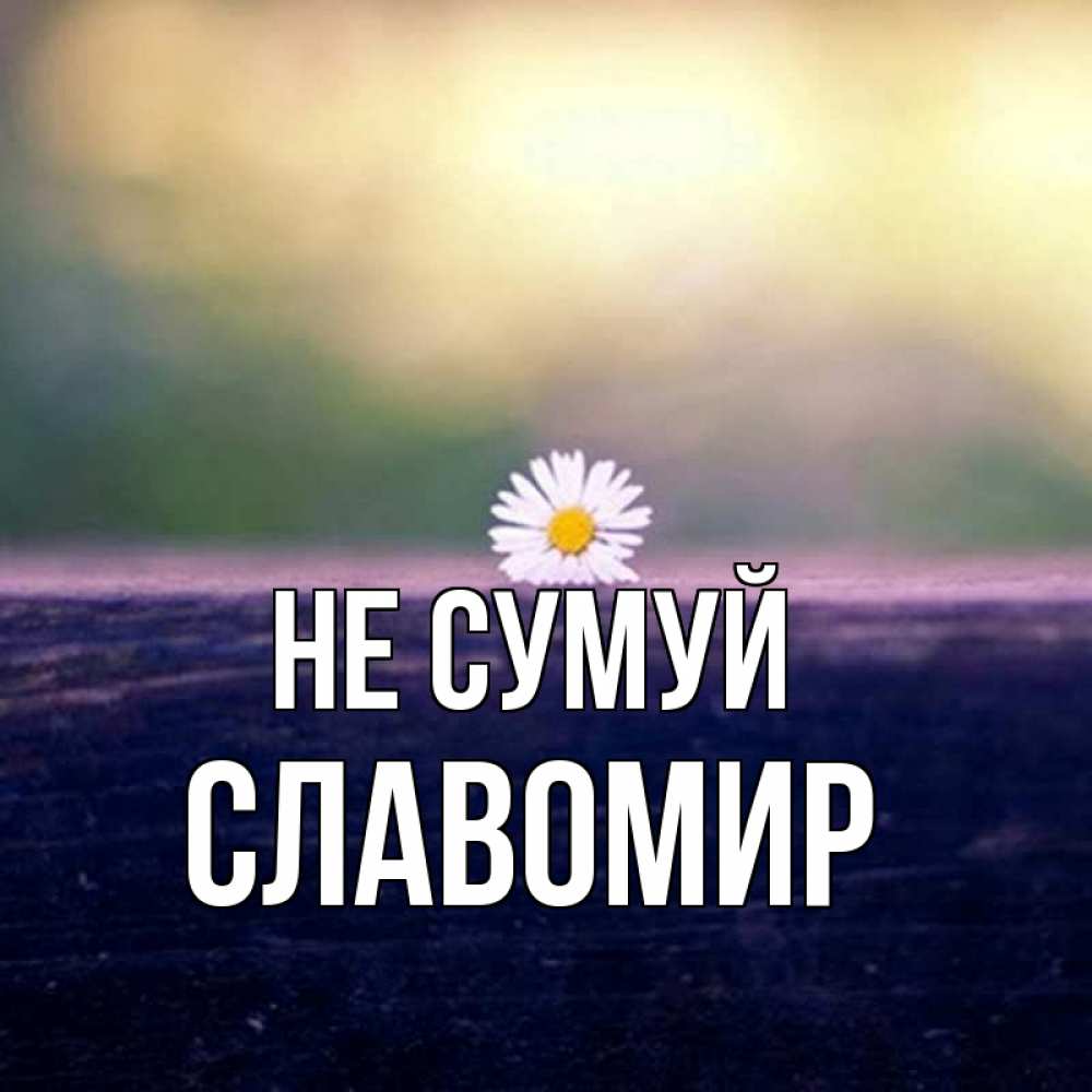 Открытка на каждый день з підписом, Славомир Не сумуй красота Прикольна листівка з побажанням онлайн скачати безкоштовно 