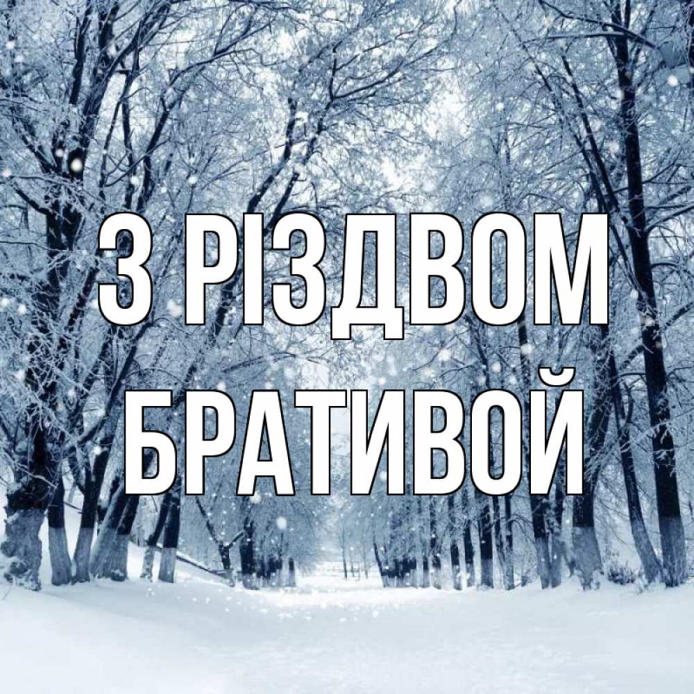 Открытка на каждый день з підписом, Бративой З Різдвом снег, лес, парк Прикольна листівка з побажанням онлайн скачати безкоштовно 