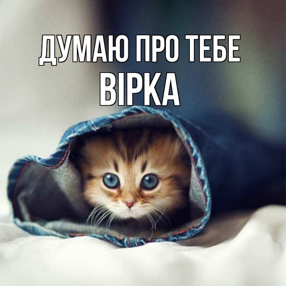 Открытка на каждый день з підписом, Вірка Думаю про тебе мне без тебя плохо Прикольна листівка з побажанням онлайн скачати безкоштовно 
