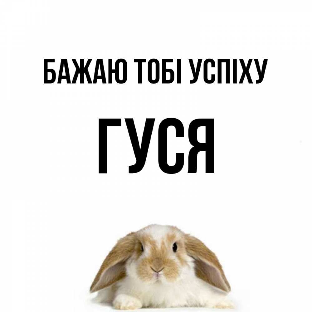 Открытка на каждый день з підписом, Гуся Бажаю тобі успіху открытки с произвольным текстом который можно вставить в открытку и создать ее самостоятельно бесплатно онлайн Прикольна листівка з побажанням онлайн скачати безкоштовно 