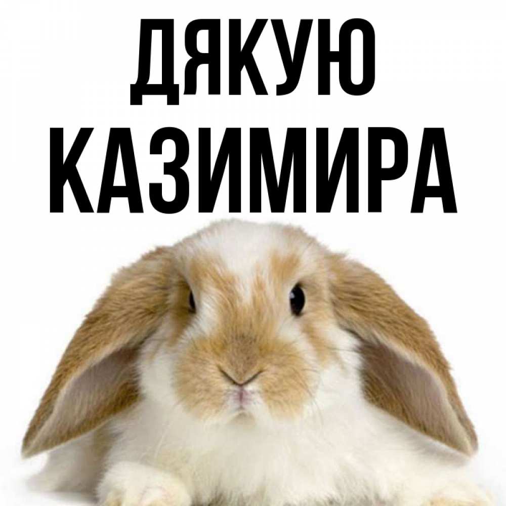 Открытка на каждый день з підписом, Казимира Дякую коричнево белый заяц Прикольна листівка з побажанням онлайн скачати безкоштовно 