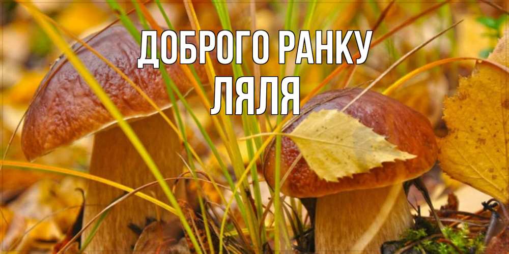 Открытка на каждый день з підписом, Ляля Доброго ранку осенние грибы Прикольна листівка з побажанням онлайн скачати безкоштовно 