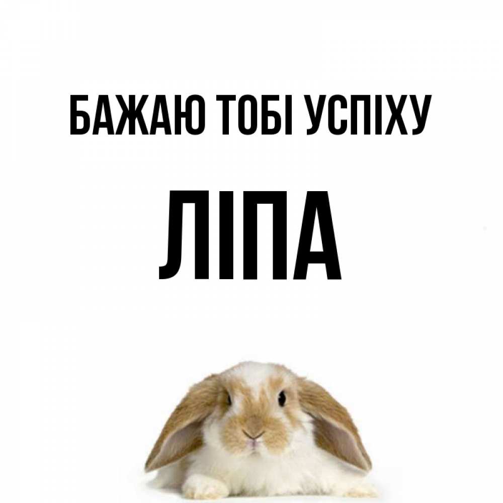 Открытка на каждый день з підписом, Ліпа Бажаю тобі успіху открытки с произвольным текстом который можно вставить в открытку и создать ее самостоятельно бесплатно онлайн Прикольна листівка з побажанням онлайн скачати безкоштовно 