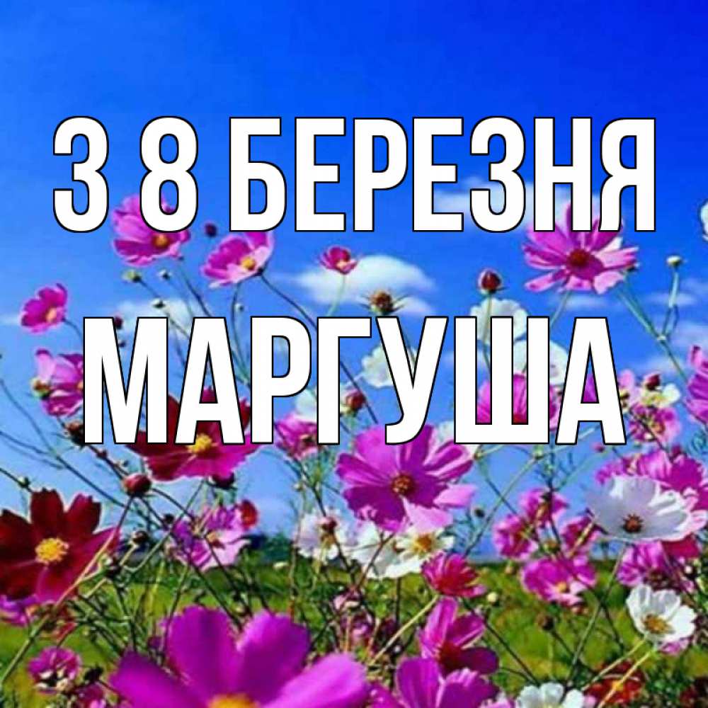 Открытка на каждый день з підписом, Маргуша З 8 БЕРЕЗНЯ цветы Прикольна листівка з побажанням онлайн скачати безкоштовно 