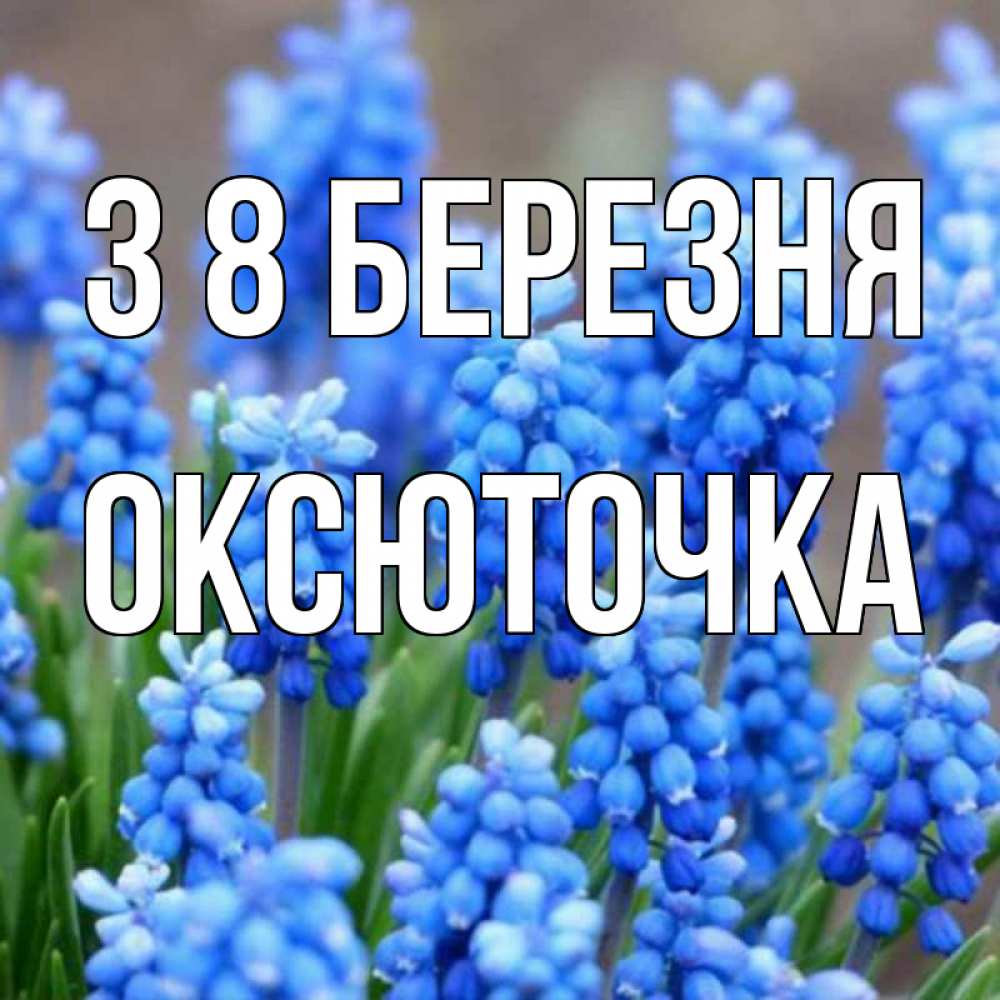 Открытка на каждый день з підписом, Оксюточка З 8 БЕРЕЗНЯ Поздравительная открытка для женщин с цветами на праздничную дату Прикольна листівка з побажанням онлайн скачати безкоштовно 